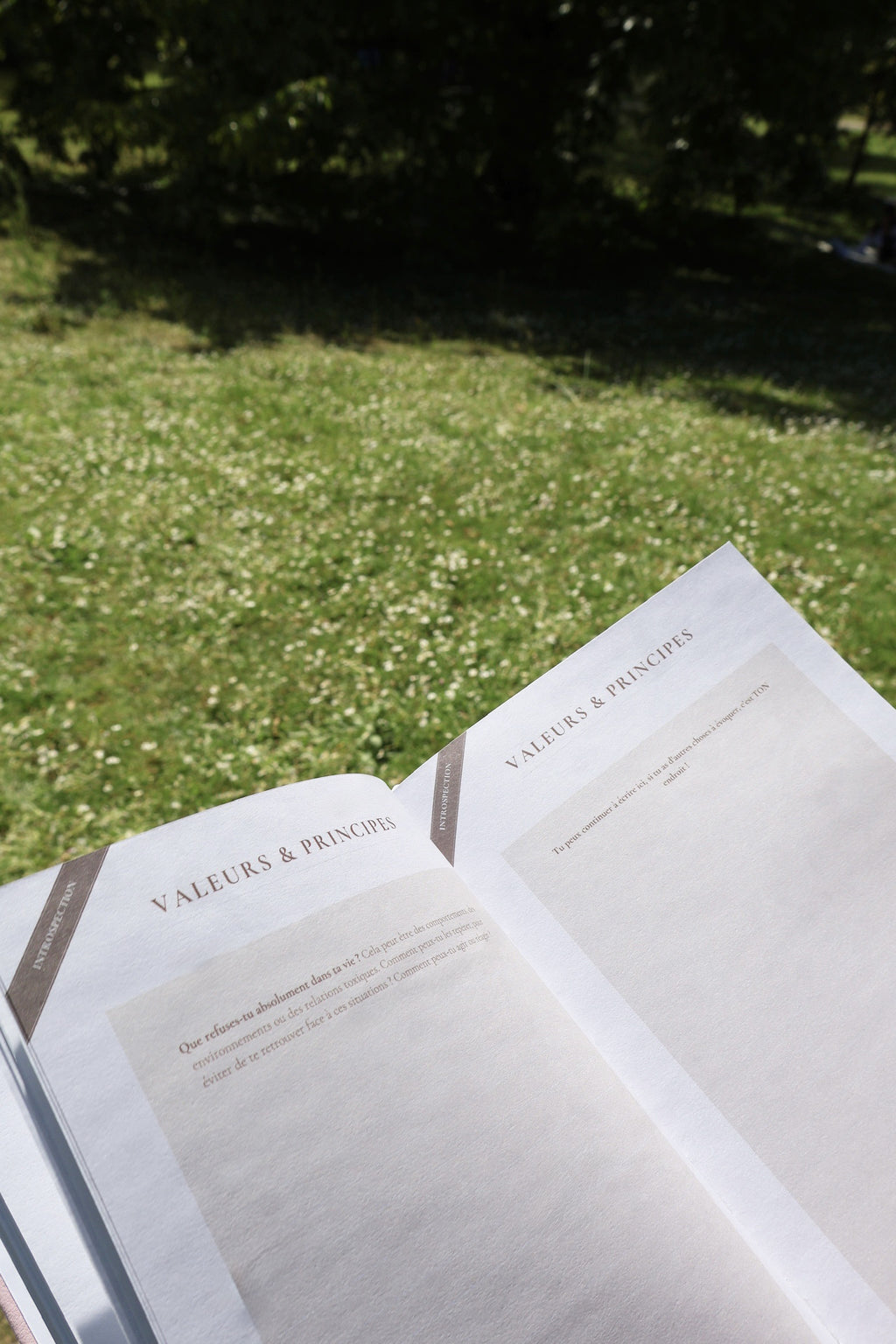 Becoming Journal - Marron