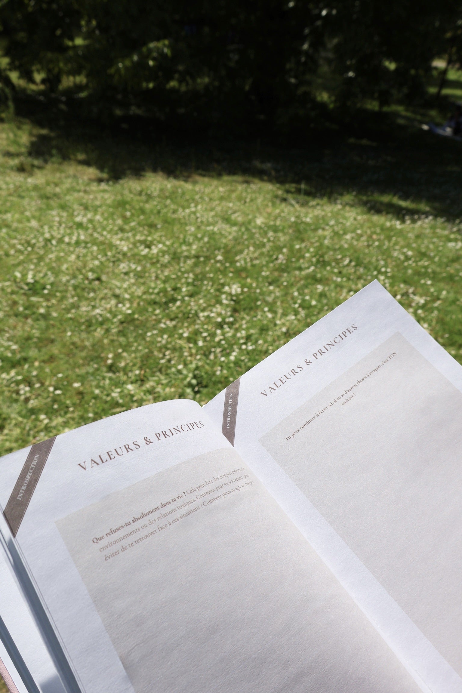 Becoming Journal - Marron